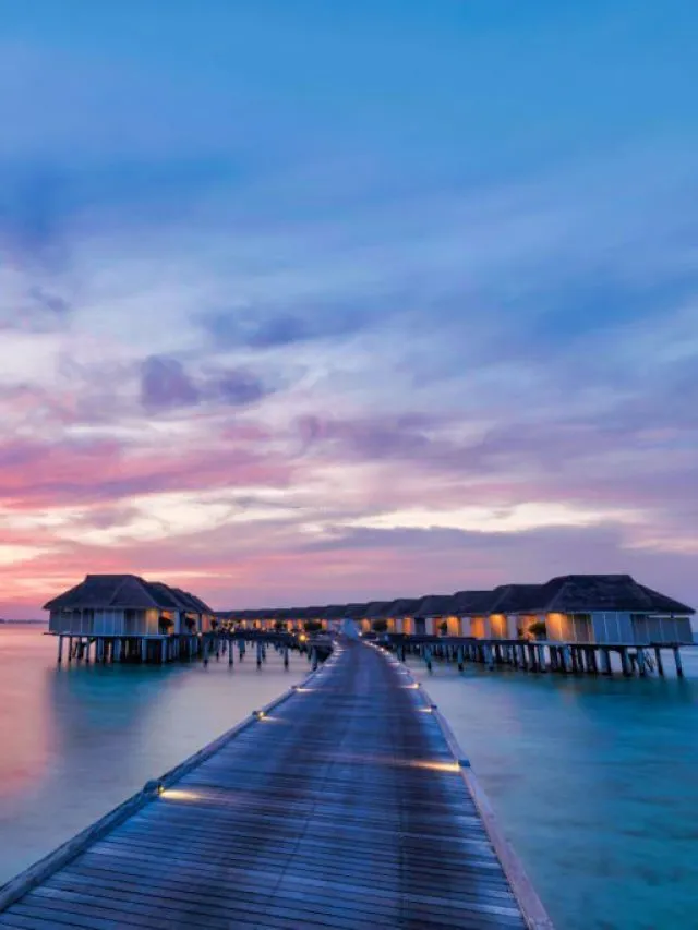1026 maldives honeymoon