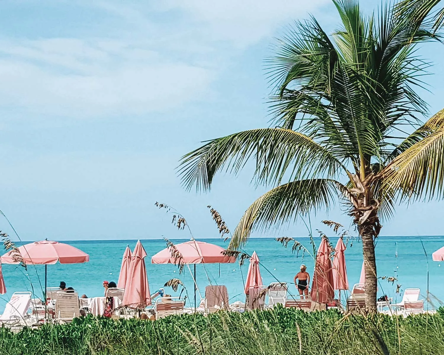 742 honeymoon activities