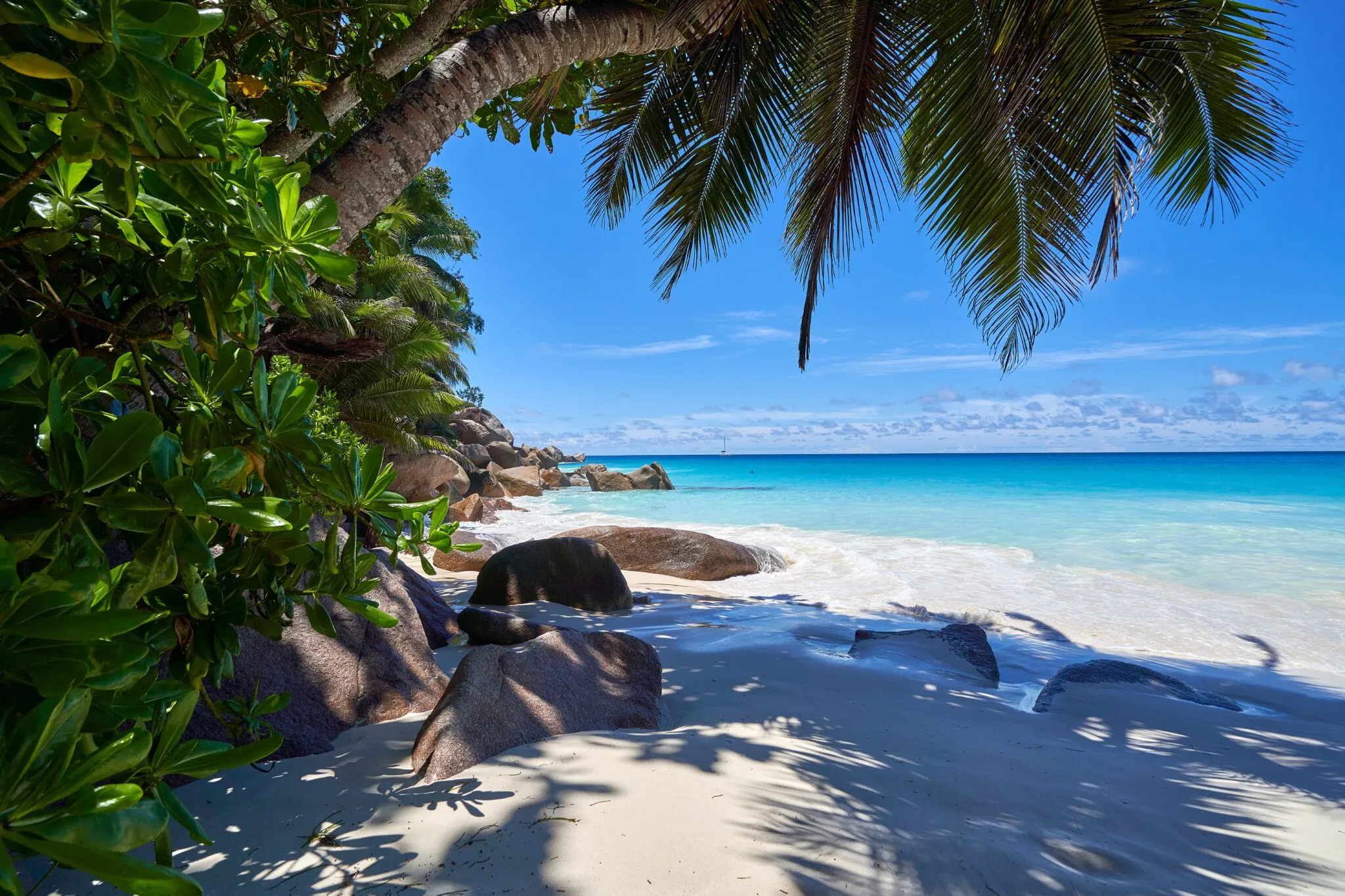 760 bali honeymoon