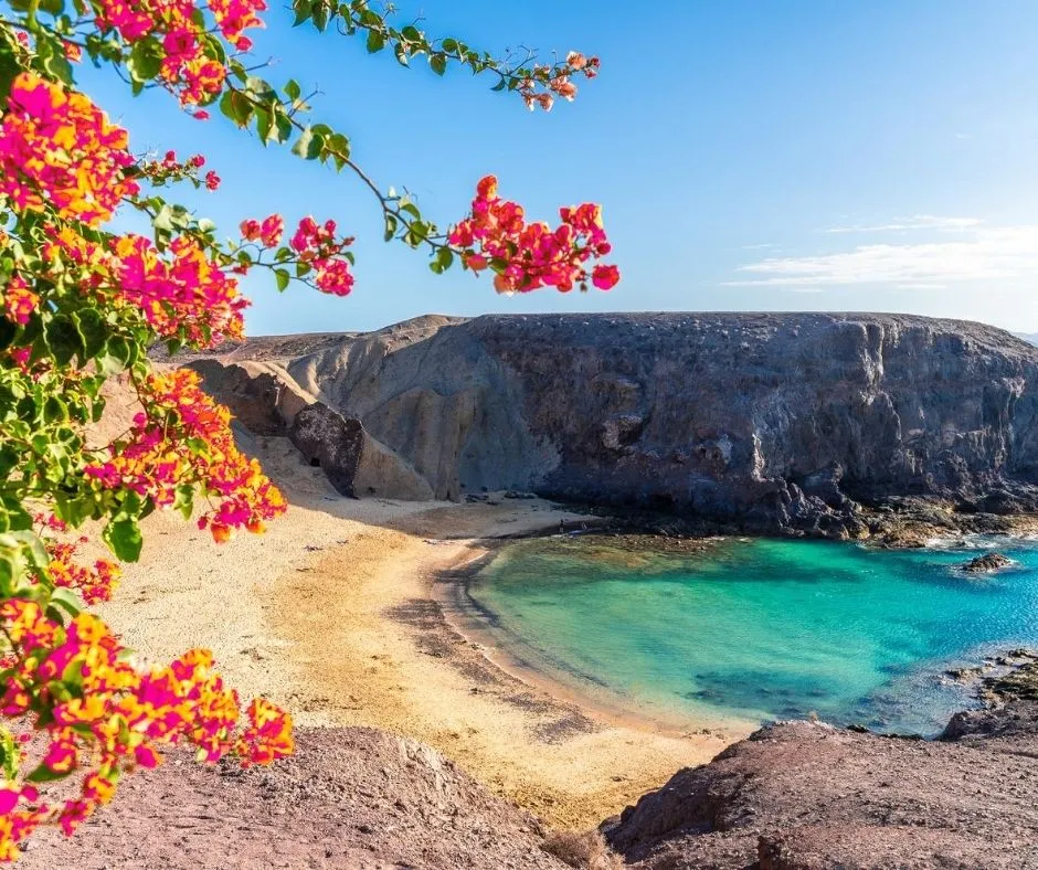 773 majorca honeymoon