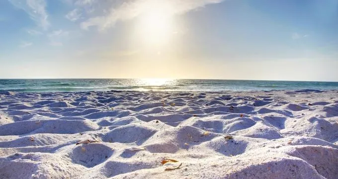 /img/777-florida-honeymoon-memories.webp