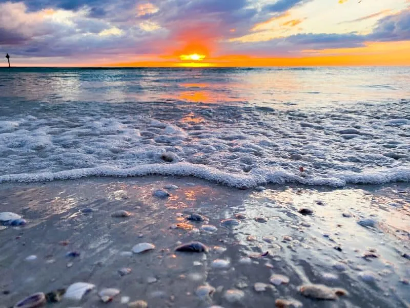 /img/778-honeymoon-island-couple.webp