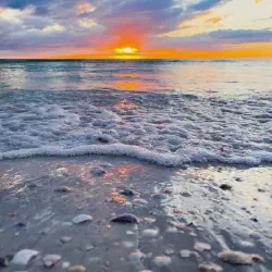 /img/778-honeymoon-island-couple.webp