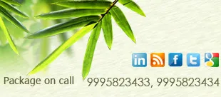 792 wayanad honeymoon couple