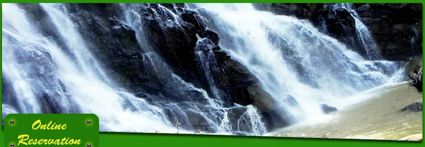 792 wayanad landscape