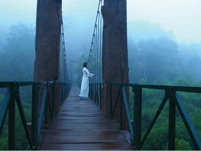 /img/792-wayanad-romantic-activities.webp