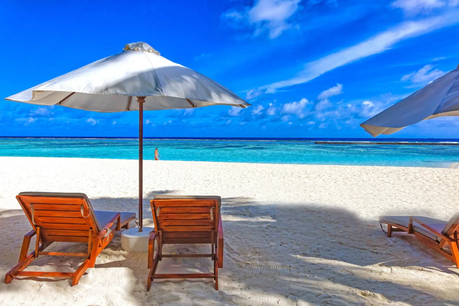 802 maldives honeymoon diving