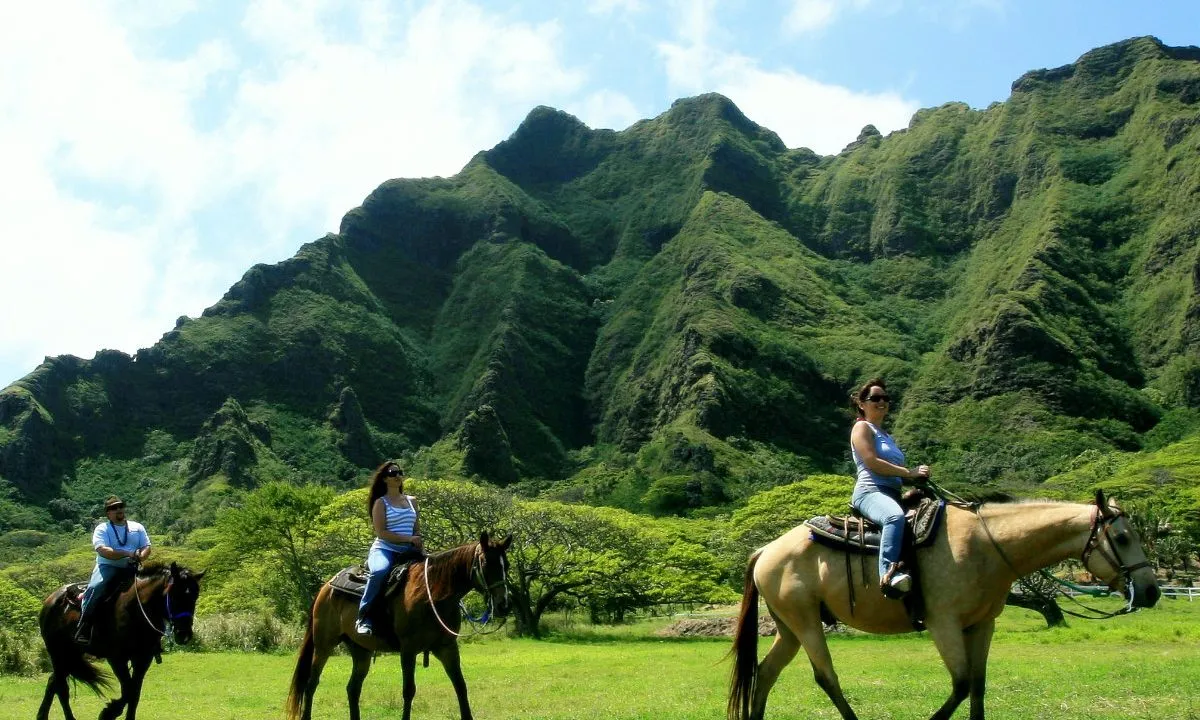 819 kauai honeymoon couple