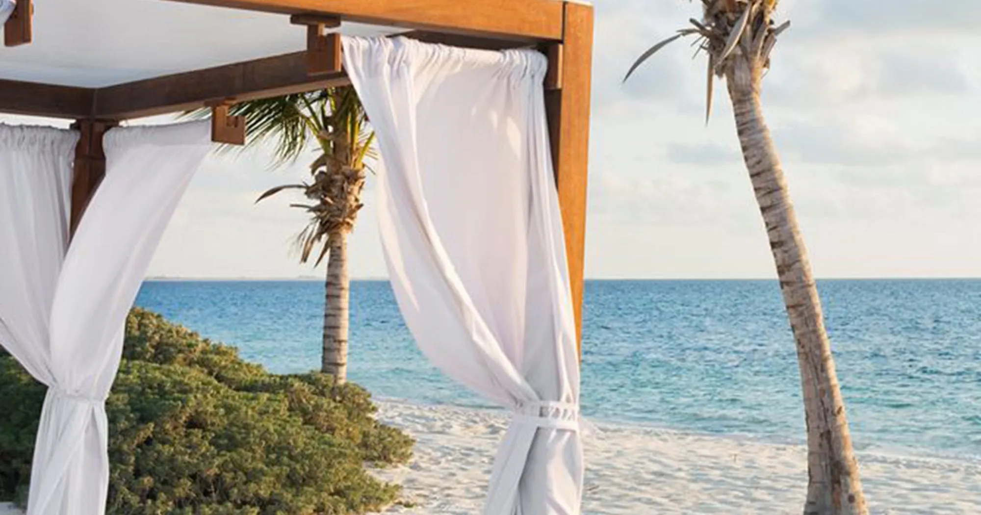 /img/830-travel-insurance-december.webp