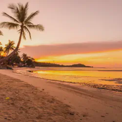 /img/831-goa-honeymoon-package.webp