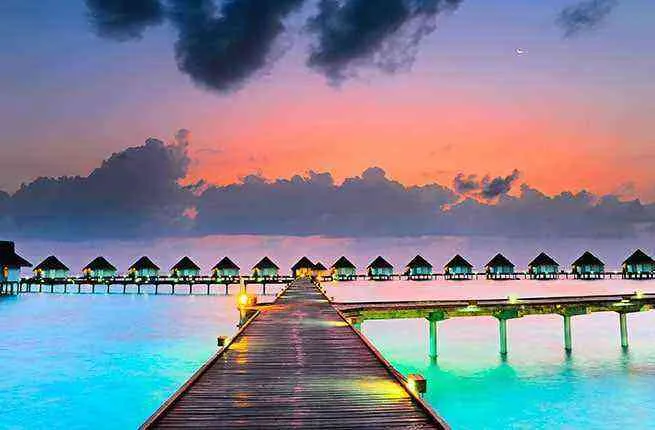 834 honeymoon travel insurance