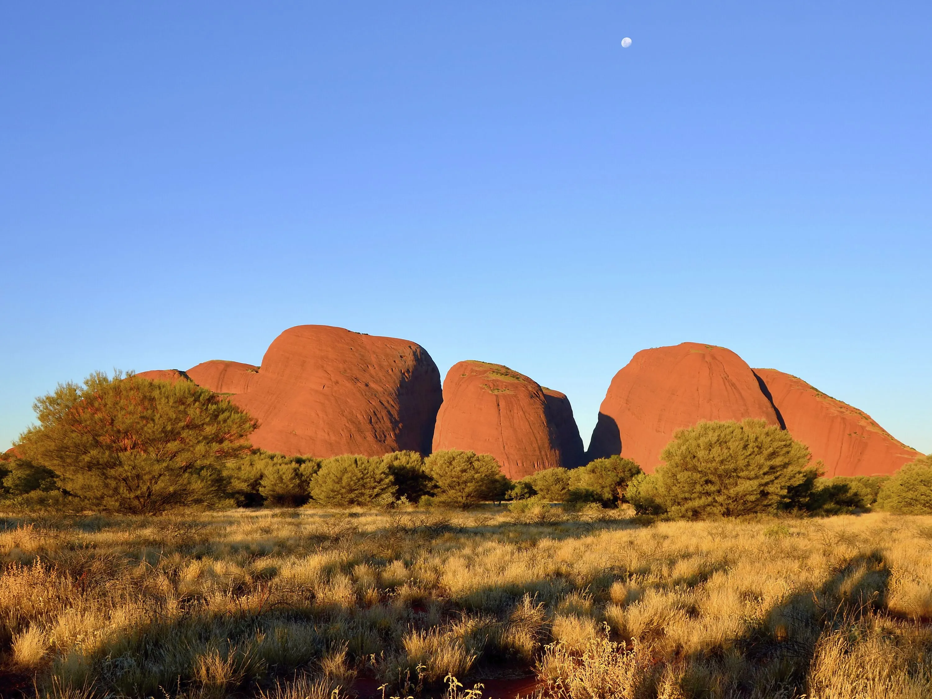 /img/844-barossa-valley.webp
