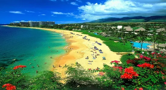 848 hawaii honeymoon header