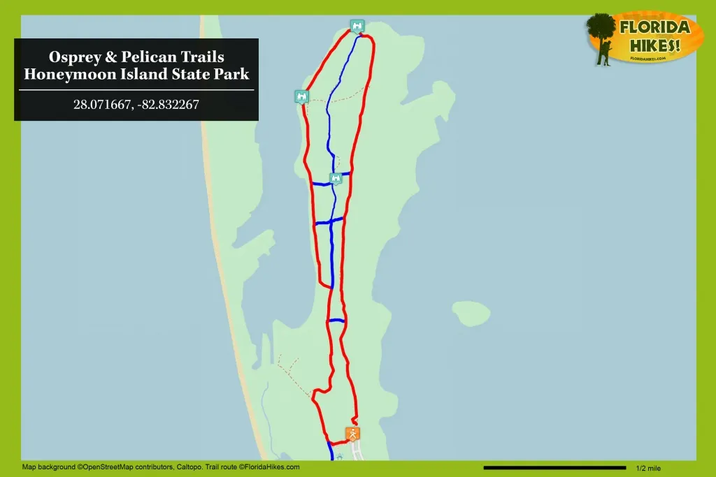 853 caladesi island beach