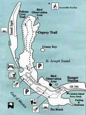 853 dog beach florida