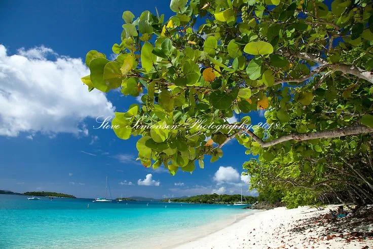 862 hidden gem beach virgin islands