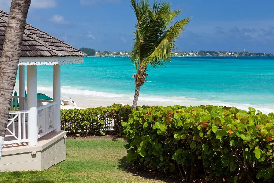 866 maldives honeymoon