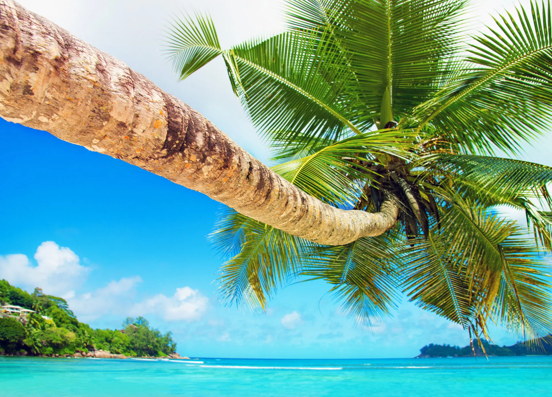 879 bora bora honeymoon