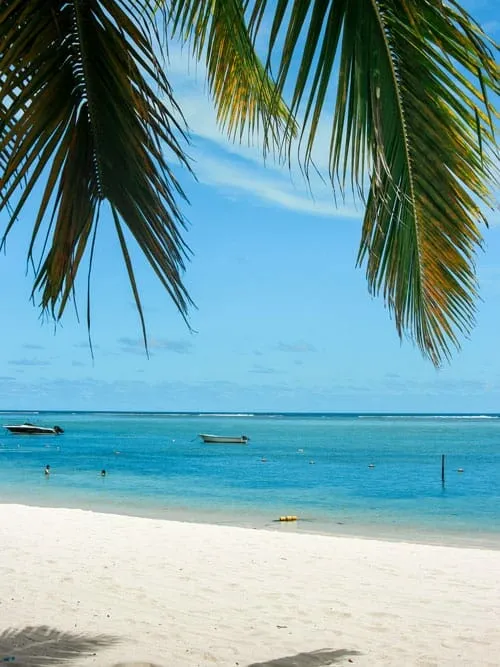 888 maldives honeymoon
