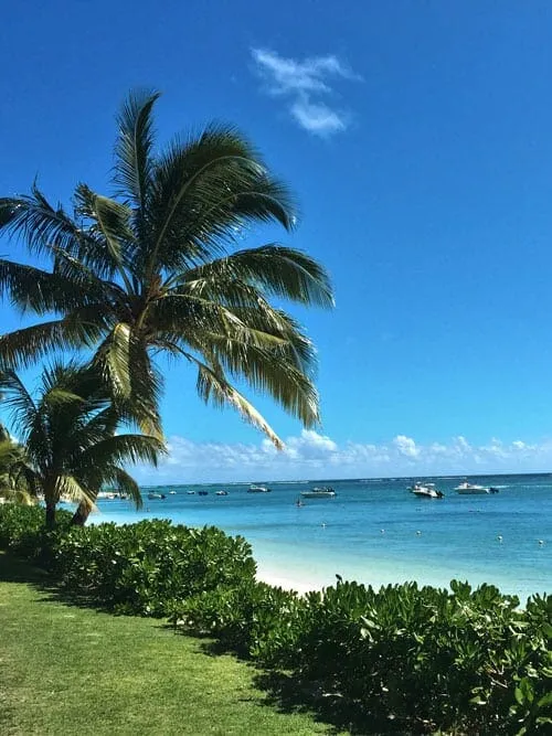 /img/888-maui-honeymoon.webp