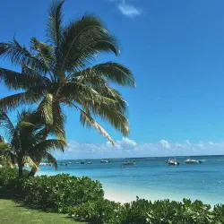/img/888-maui-honeymoon.webp