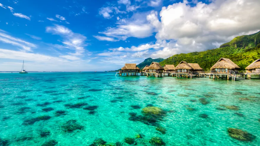 892 bali honeymoon