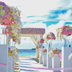 /img/896-honeymoon-experience.webp