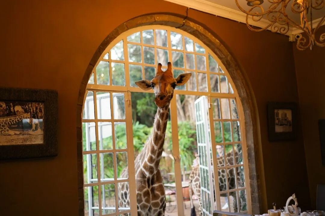 900 kenya cultural experience