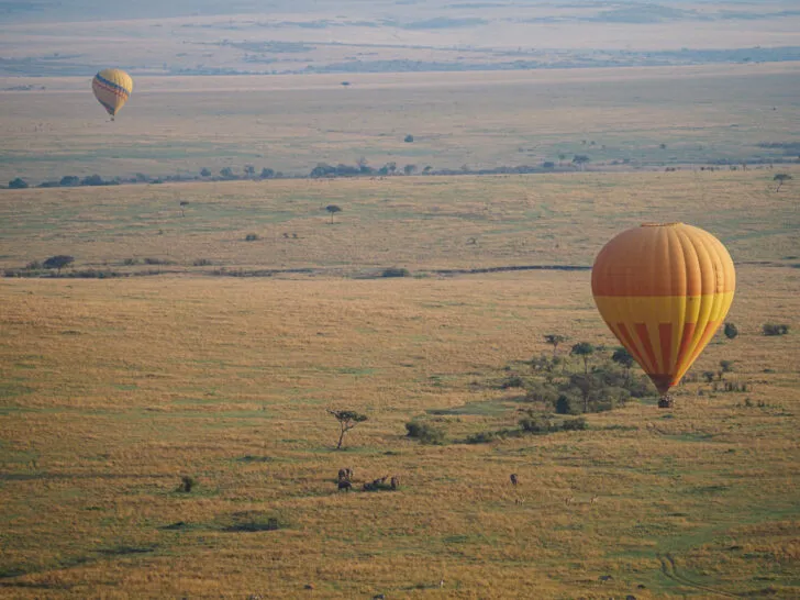 900 kenya wildlife safari