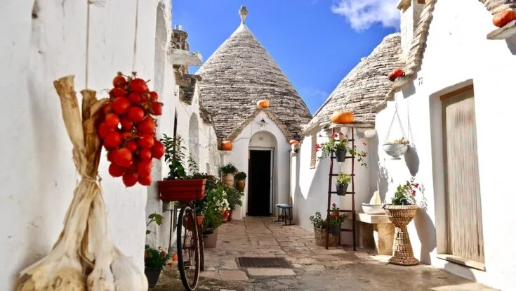 907 honeymoon planning