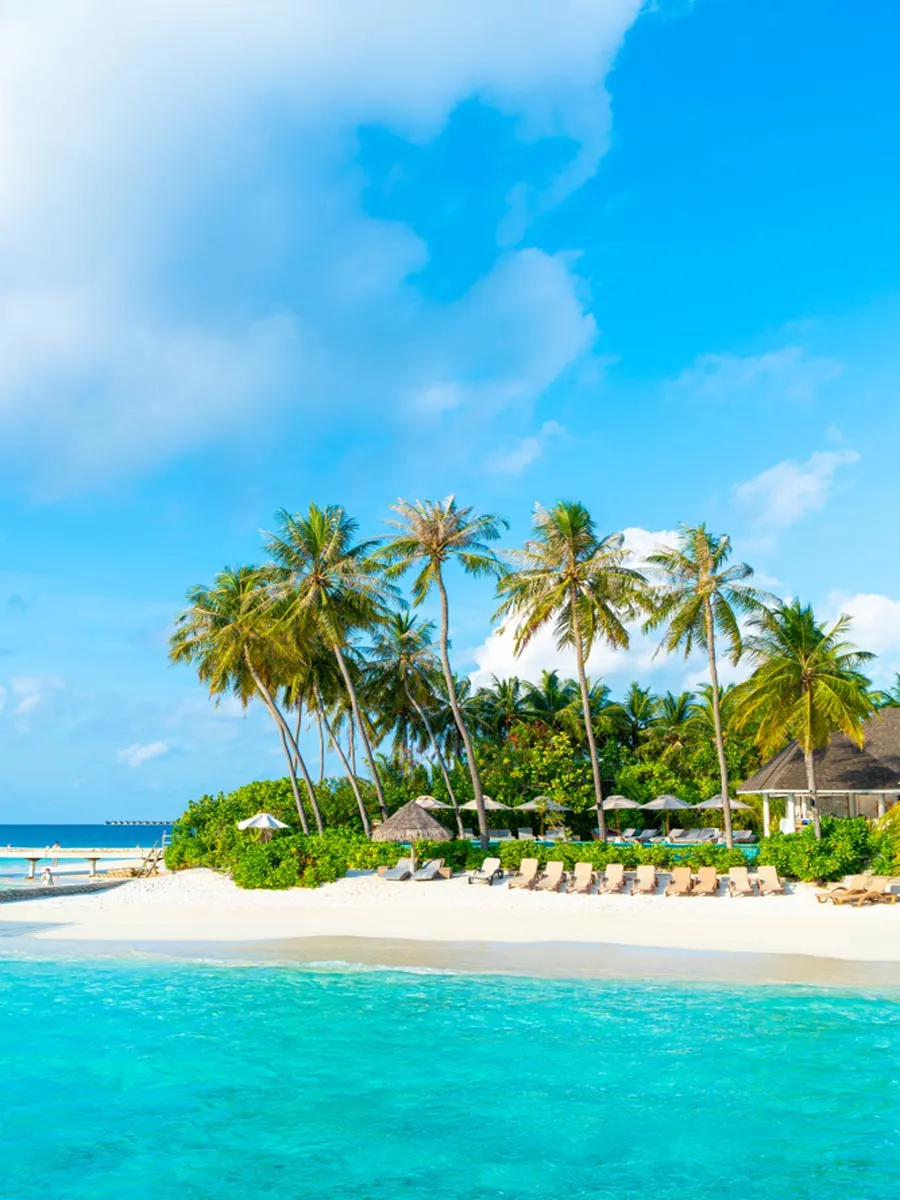 946 bali honeymoon
