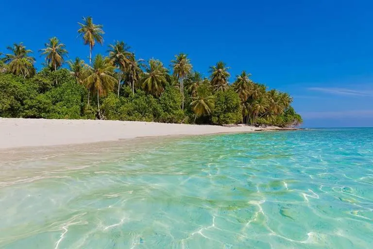 953 bali honeymoon